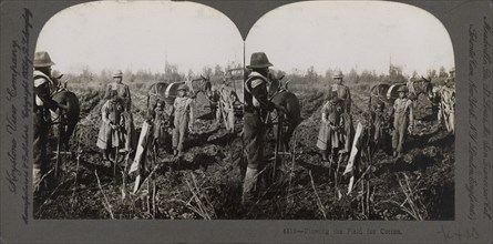 Plowing the field for cotton, (1868-1900?). Creator: Unknown.