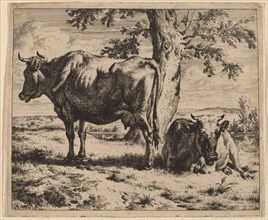 Two Cows under a Tree, c. 1670. Creator: Adriaen van de Velde.