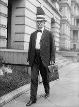 Robert Lansing, Secretary of State, 1917. Creator: Harris & Ewing.