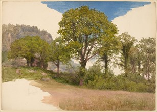 Trees Profiled against the Sky, c. 1865. Creator: John Henry Hill.