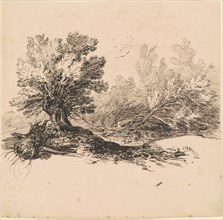 A Pollard Willow by a Stream, c. 1840. Creator: Hippolyte Lalaisse.