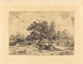 Vue du Plateau de Bellecroix, 1848-1849. Creator: Theodore Rousseau.