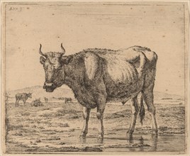 Bull Standing in Water, c. 1657/1659. Creator: Adriaen van de Velde.