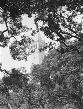 University of California at Berkeley views, 1927 Creator: Arnold Genthe.