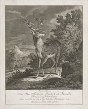 A Magnificent Stag in a Landscape, 1735. Creator: Johann Elias Ridinger.
