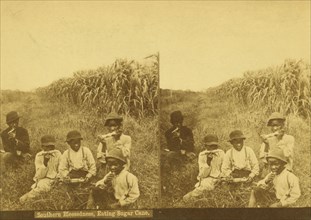 Southern blessedness, eating sugar cane, (1868-1900?). Creator: Unknown.