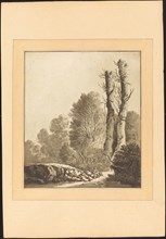 Landscape with Two Trees, published 1782. Creator: Maria Catharina Prestel.