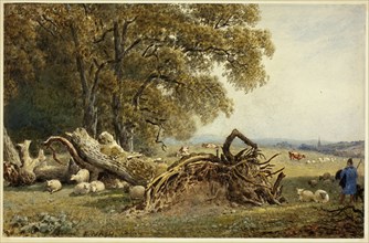 Sheep, Cows, and Herdsman by Uprooted Tree, 1802/1856. Creator: Frederick Nash.