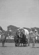 Horse show or show jumping event, between 1911 and 1942. Creator: Arnold Genthe.