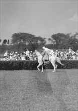 Horse show or show jumping event, between 1911 and 1942. Creator: Arnold Genthe.