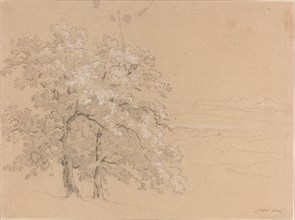 Sunlit Trees Before a Panoramic Landscape, 1810s(?). Creator: Jean-Antoine Linck.