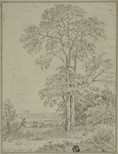 Landscape with Tree, Man, and Cows, August 7, 1765. Creator: George Howland Beaumont.