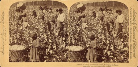 Cotton is king- A plantation scene, Georgia, 1895 (Inferred). Creator: Strohmeyer & Wyman.