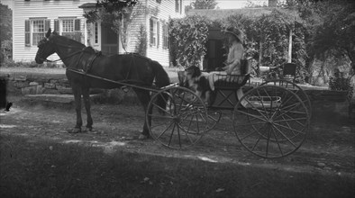 Tarbell, Ida, Miss, with dog, in a horse-drawn wagon, 1912 or 1913. Creator: Arnold Genthe.