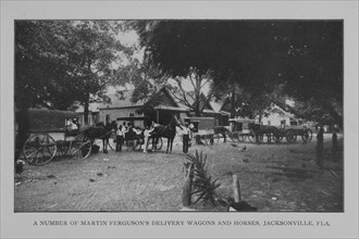 A number of Martin Ferguson's delivery wagons and horses, Jacksonville, Fla., 1902. Creator: Unknown.