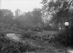 District of Columbia Parks - Cutting Trees On Mall Sites For War Buildings, 1917. Creator: Harris & Ewing.