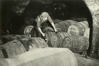There Are a Quarter of a Million Gallons of Port in the Port Vaults - The Vaults at...', 1937. Creator: Fox.
