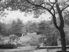 Taylor, Myron C., Mr., residence and grounds, Locust Valley, Long Island, New York, 1928 Nov. Creator: Arnold Genthe.