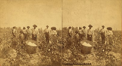 Cotton picking no. 3. [Group posing in the field with bale of cotton in foreground], (1868-1900?). Creator: O. Pierre Havens.