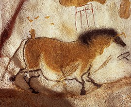 Chinese horse. Caves painting of Lascaux, ca 16.000-15.000 BC. Creator: Art of the Upper Paleolithic.