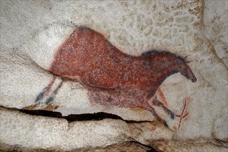 Galloping horse. Caves painting of Lascaux, ca 16.000-15.000 BC. Creator: Art of the Upper Paleolithic.