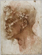 Head of a Satyr. Creator: Buonarroti, Michelangelo (1475-1564).