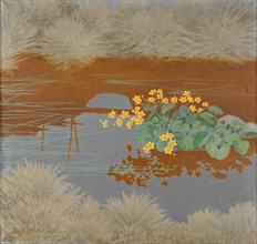 Marsh Marigolds. Creator: Lindh, Bror (1877-1941).
