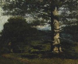 Cedar Tree at Hauteville, c. 1868. Creator: Courbet, Gustave (1819-1877).
