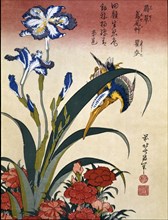 'Japanese Finch', 19th century. Creator: Hokusai, Katsushika (1760 - 1849).