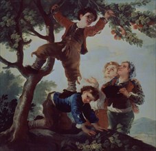 Boys Picking Fruit, 18th-19th century. Creator: Goya y Lucientes, Francisco de (1746 - 1828).