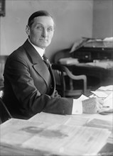 William Gibbs McAdoo, Secretary of The Treasury, at Desk, 1918. Creator: Harris & Ewing.