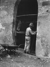 Man and horse in stall, New Orleans or Charleston, South Carolina, between 1920 and 1926. Creator: Arnold Genthe.
