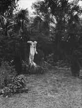 Garden with a statue, New Orleans or Charleston, South Carolina, between 1920 and 1926. Creator: Arnold Genthe.