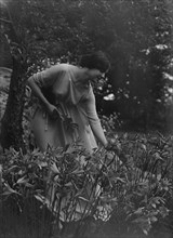 Beyer, Hilda, Miss, picking flowers in a garden, 1915 Apr. 26. Creator: Arnold Genthe.