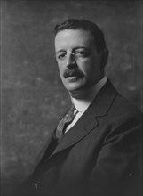 Mr. Boardman, portrait photograph, 1918 Apr. 10. Creator: Arnold Genthe.