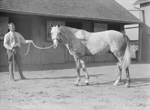 Fletcher, Walter D. Fletcher, with horse, 1934 Sept. Creator: Arnold Genthe.