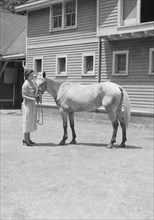 Rosen, Ann, Miss, with horse, between 1932 and 1942. Creator: Arnold Genthe.