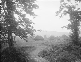 View of Ainu village beyond trees, 1908. Creator: Arnold Genthe.