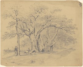 By the Old Oak Trees, 1839. Creator: James Goodwyn Clonney.