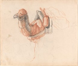 Camel, 1770s. Creator: Johann Rudolf Schellenburg.