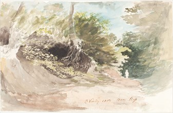 A Wooded Lane near Ross, 1803. Creator: Cornelius Varley.