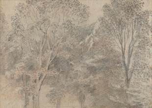 Treetops [verso]. Creator: Jean-Antoine Watteau.