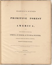 Harvey's Scenes of the Primitive Forest, 1841. Creators: William James Bennett, George Harvey, George Harvey.