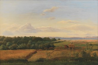 A Funen Landscape at Harvest Time with Wedellsborghoved in the Background, 1846. Creator: Dankvart Dreyer.