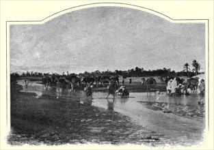 ''Gafsa. L'Oued Baiech; Afrique du nord', 1914. Creator: Unknown.