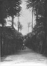 ''Un coin du jardin public d'Alger; Afrique du nord', 1914. Creator: Charles Chusseau-Flaviens.