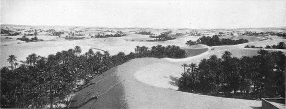 ''Le bas Sahara-Les Oasis, Oued Souf. La palmeraie; Afrique du nord', 1914. Creator: Goubault.