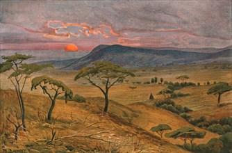 ''Vue des steppes du Massai; Le Nord-Est Africain', 1914. Creator: Unknown.