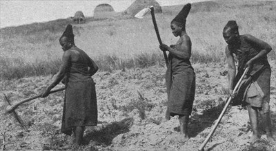 ''Femmes zouloues aux champs; Afrique Australe', 1914. Creator: Unknown.