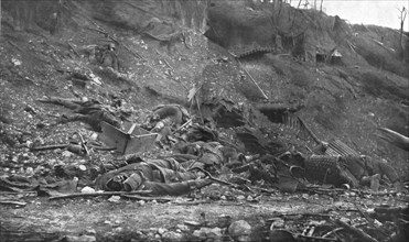 'La Bataille de la Somme; Un chemin creux a la lisiere du Bois de Hem apres les combats', 1916. Creator: Unknown.